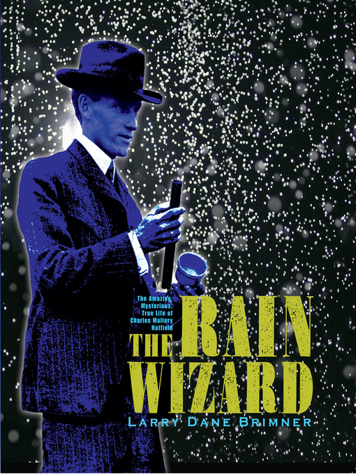Title details for The Rain Wizard by Larry Dane Brimner - Available